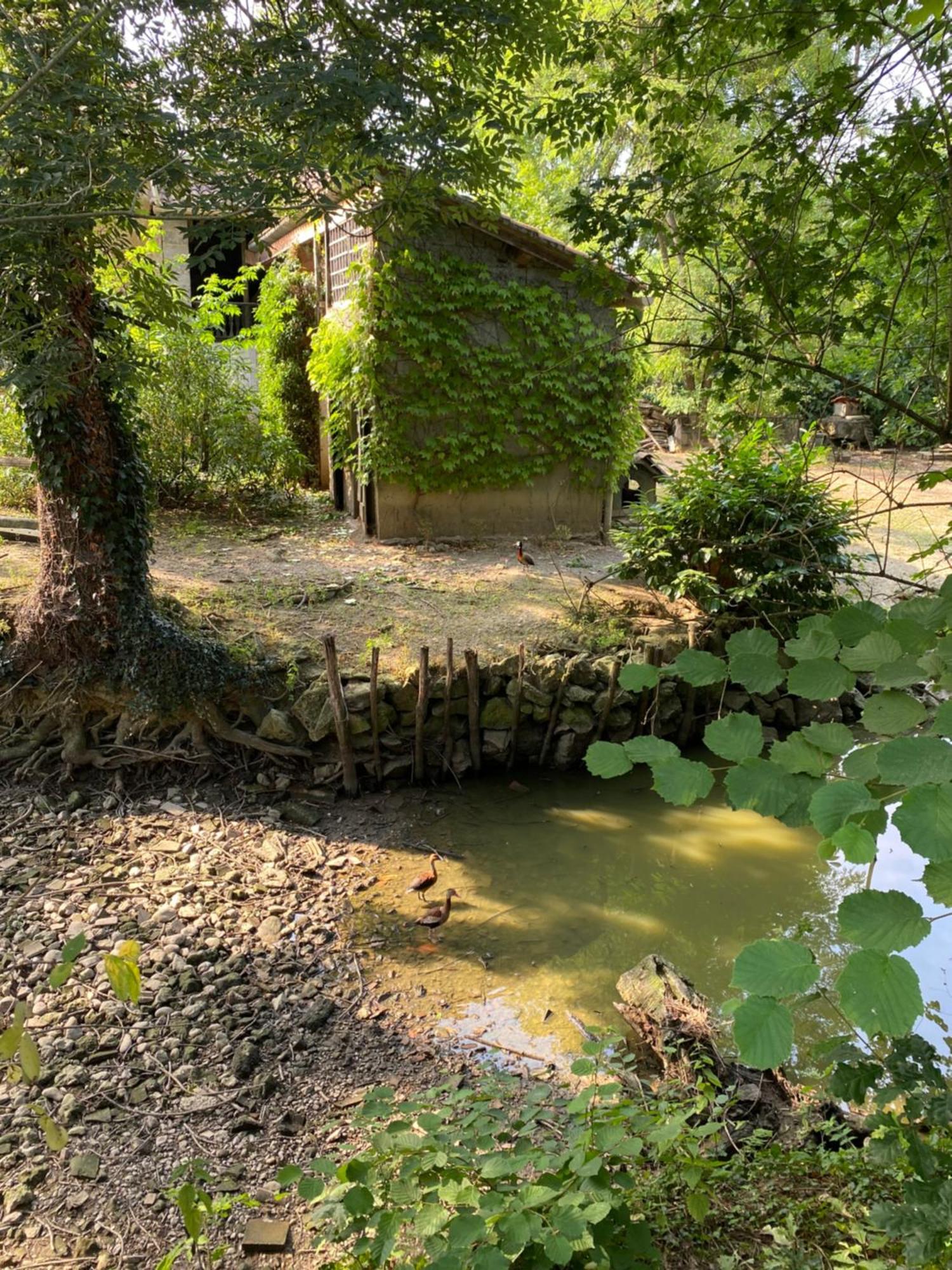 La Seigneurie De Tillac 외부 사진